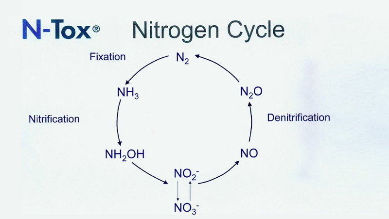 NTOX污水硝化菌报警系统